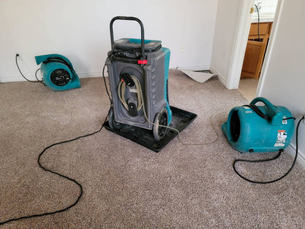 Best Carpet water damage restoration  in Schaumburg, IL