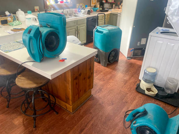 Best Emergency water damage restoration  in Schaumburg, IL