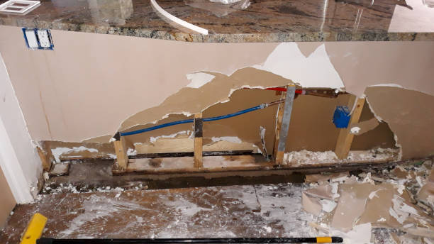 Best Basement water damage restoration  in Schaumburg, IL