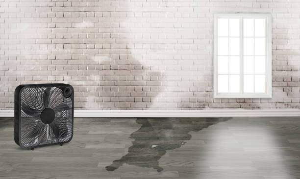 Best 24-hour water damage restoration  in Schaumburg, IL