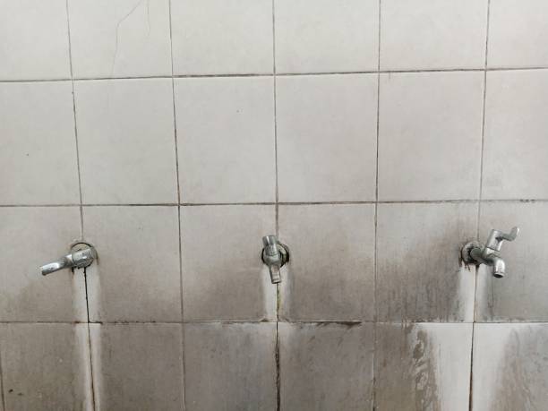  Schaumburg, IL Water damage restoration Pros