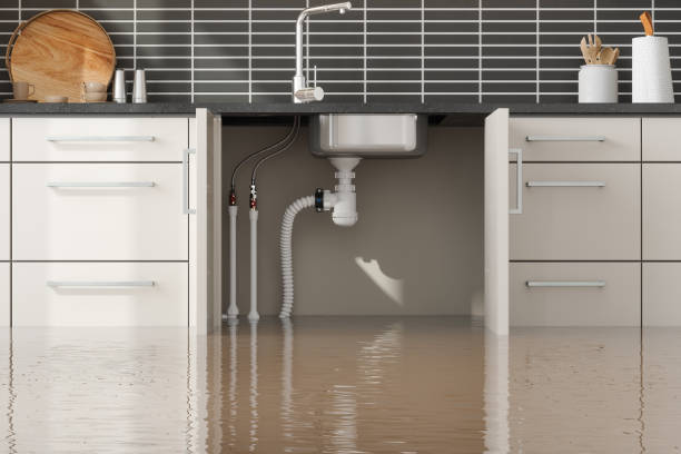 Best Flood damage cleanup  in Schaumburg, IL