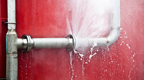Best Carpet water damage restoration  in Schaumburg, IL